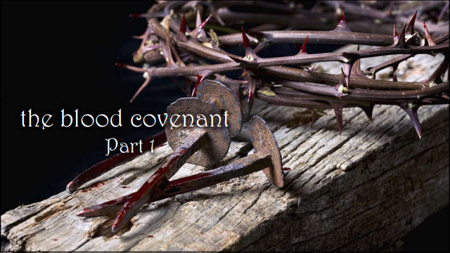 The Blood Covenant Part 1 – 1/7/2024